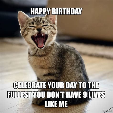 cat birthday memes|cat happy birthday memes.